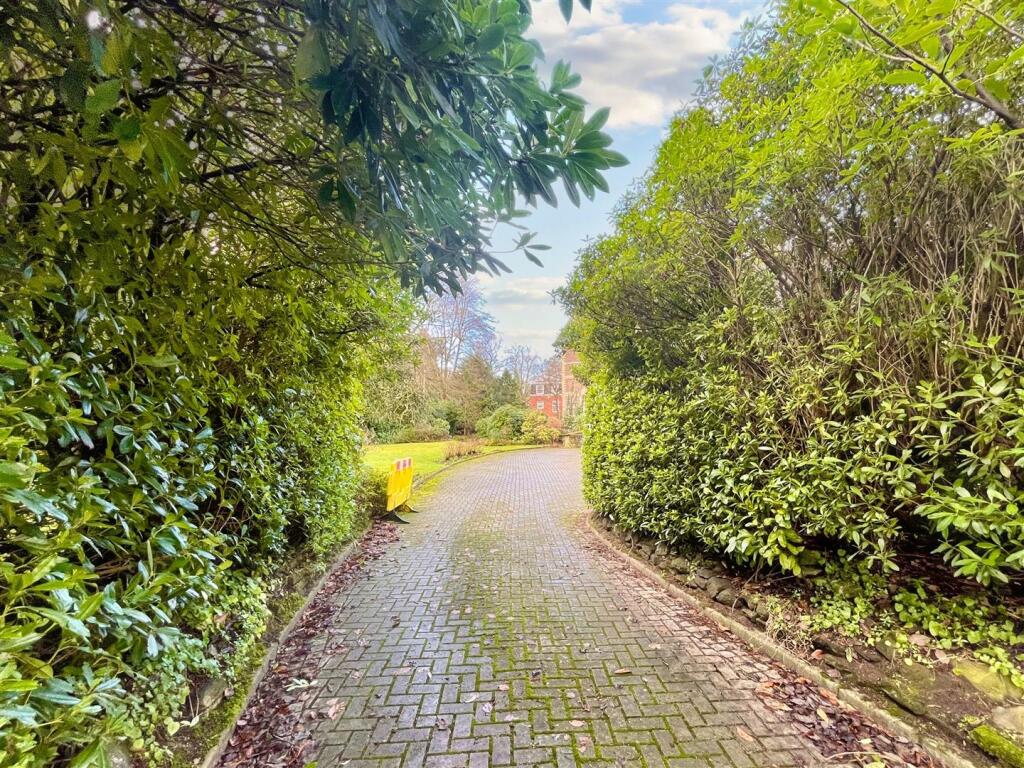 Driveway