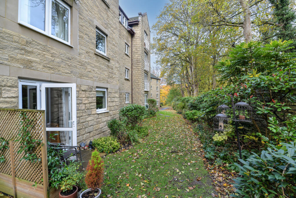 Patio and Rear
