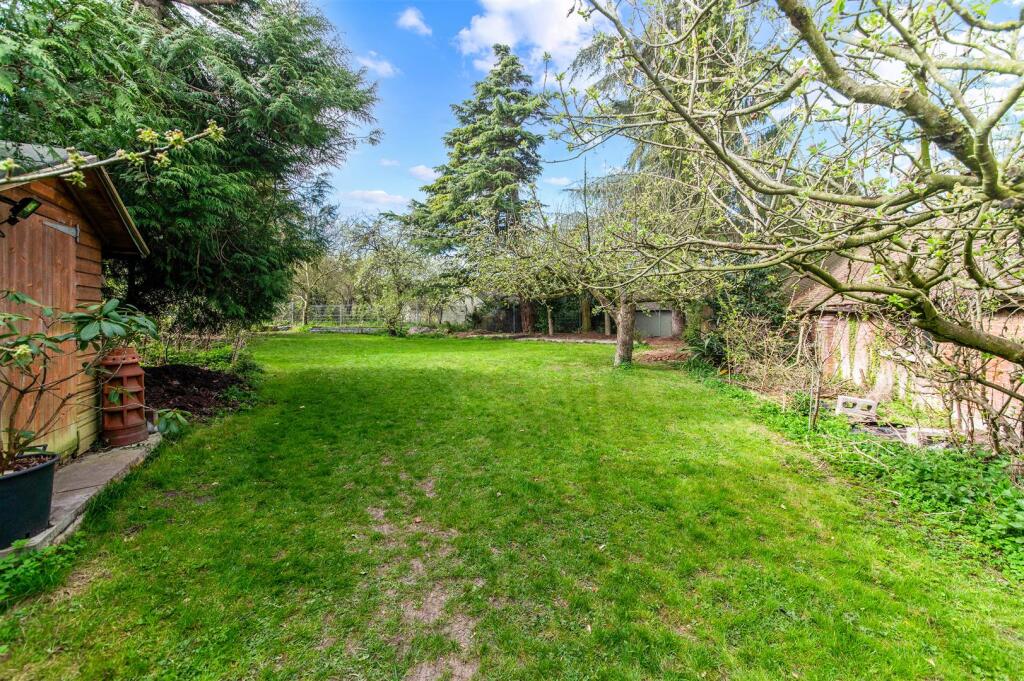 SADDLECOMBE COT 3.jpg