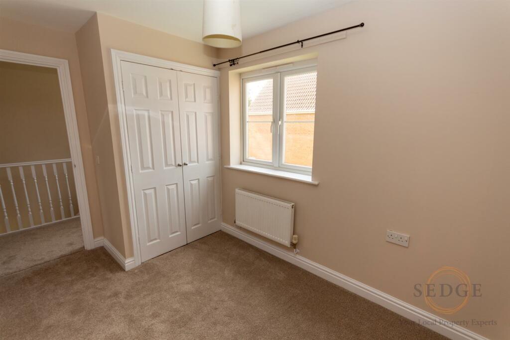1 swan close-11.jpg