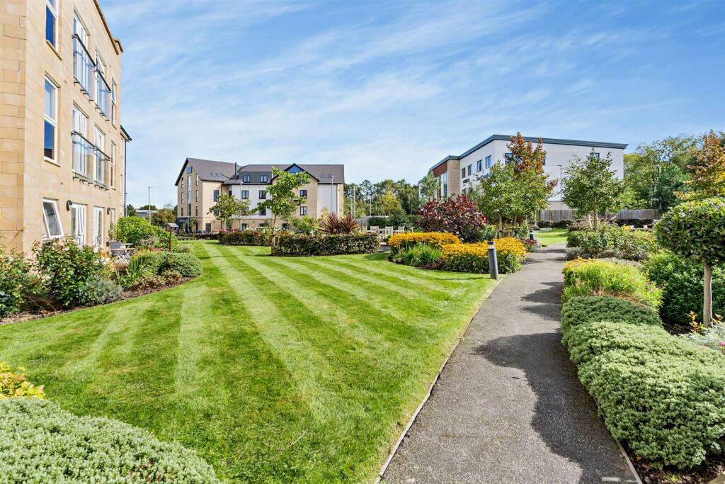 Grounds