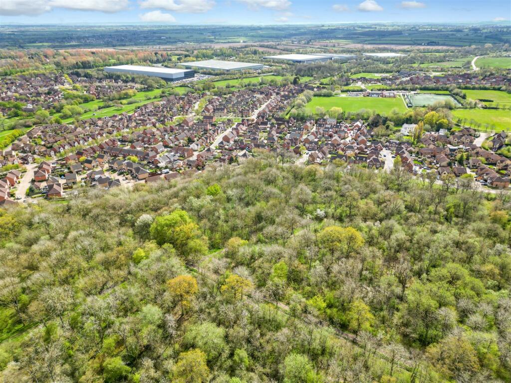 tattenhoewoods2.jpg