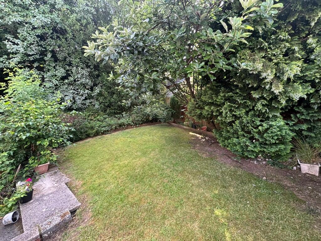 back garden 1