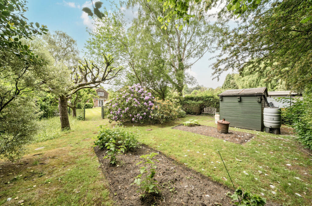 1296274-2-682dd4d...