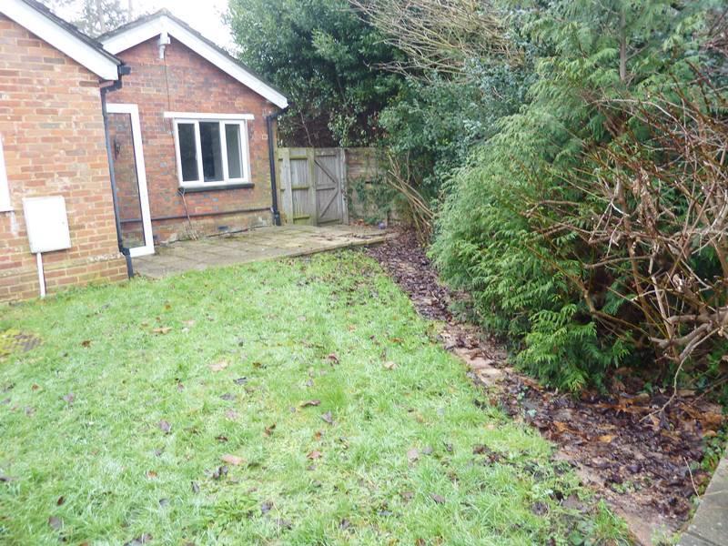 Garden 2.jpg