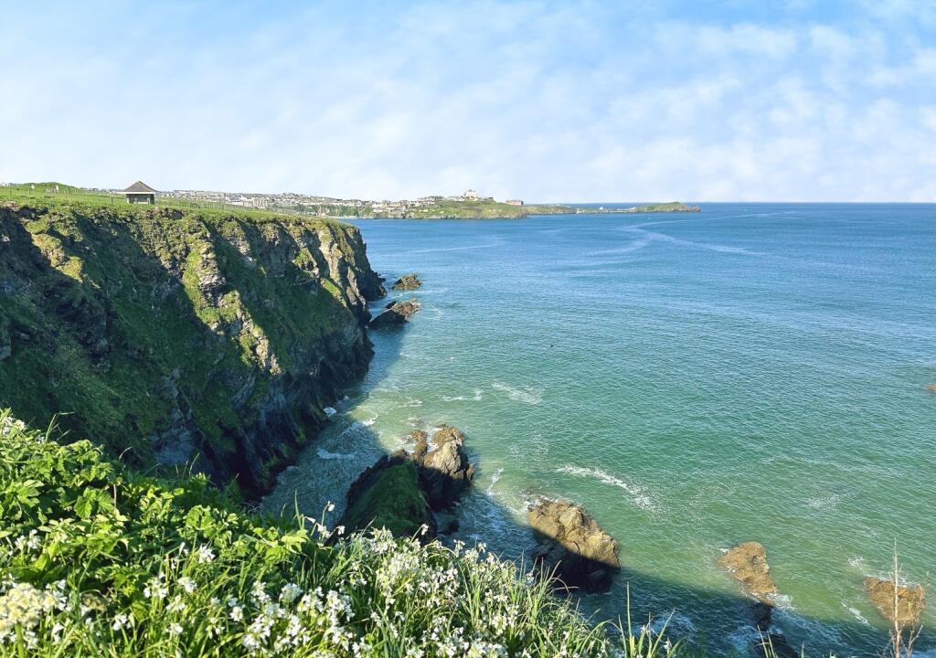 Image 15