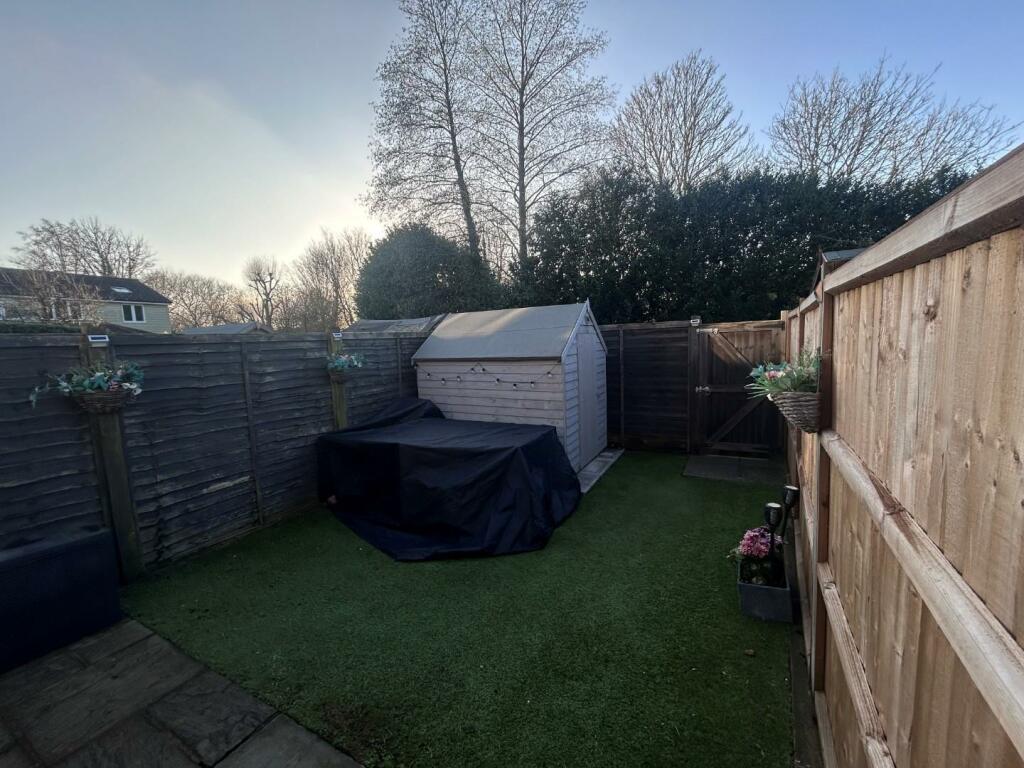 back garden.shed.jpg