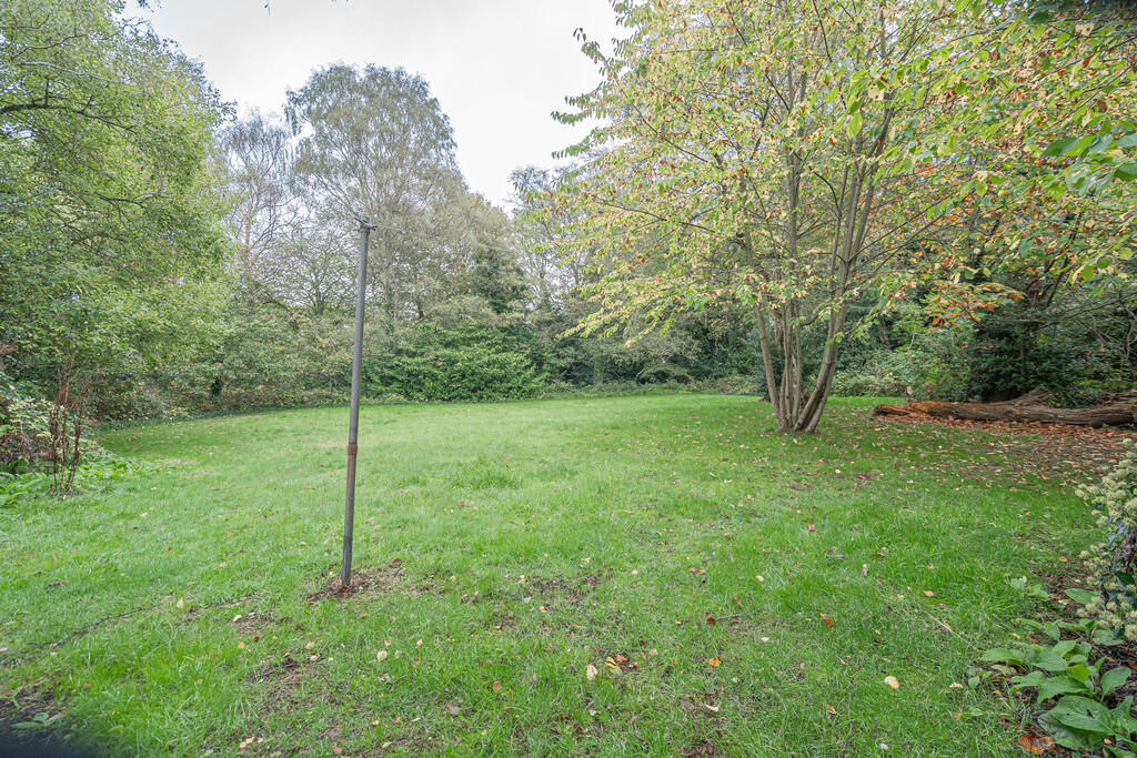 20251013-DSC06961...