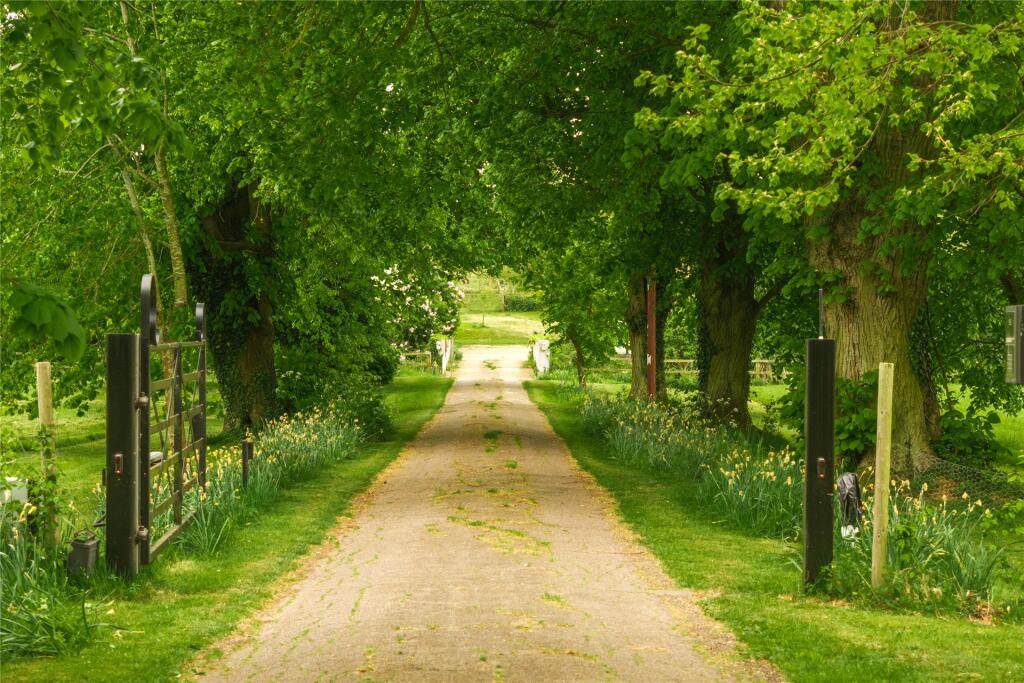 Driveway