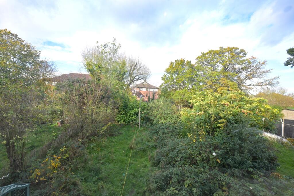 Image 13