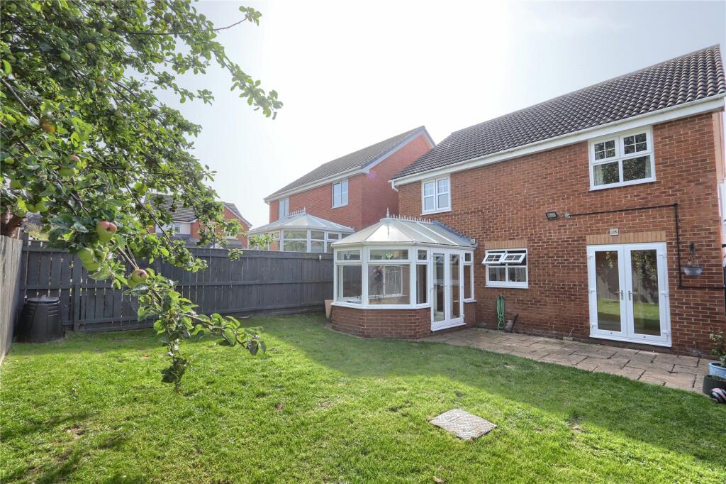 Picture No. 15