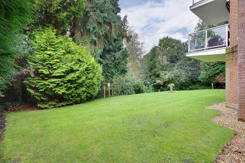 Communal Lawn