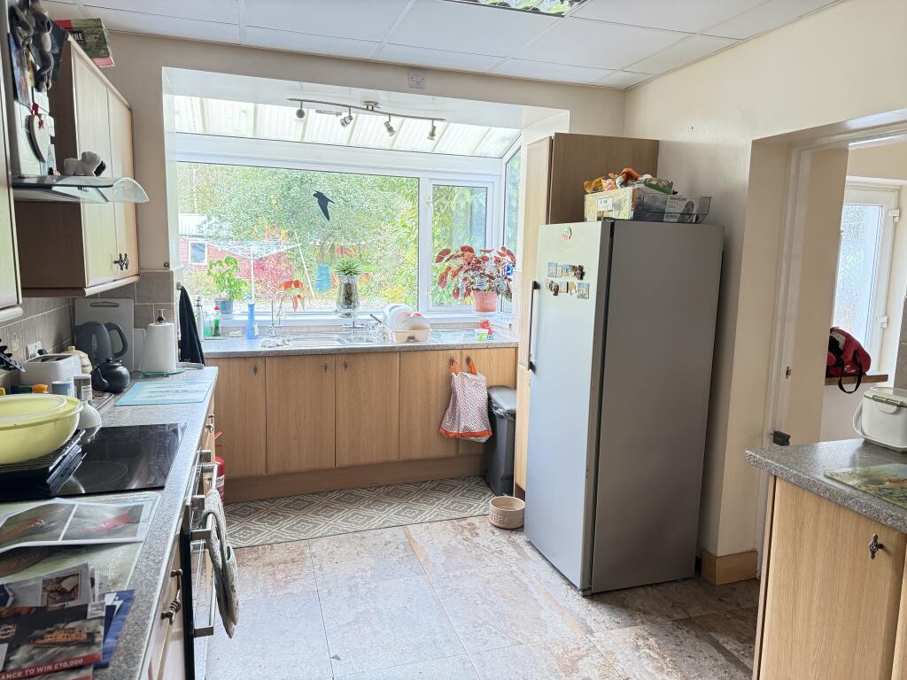 IMG 1721 T202510301636.jpg