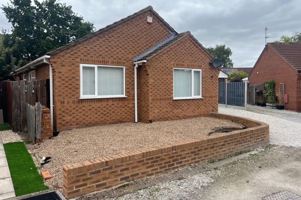 Betula 1 front shot 