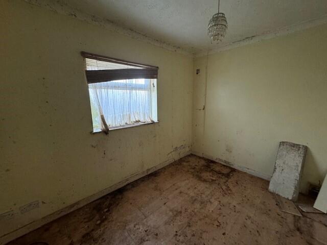 4 T202502201055.jpg