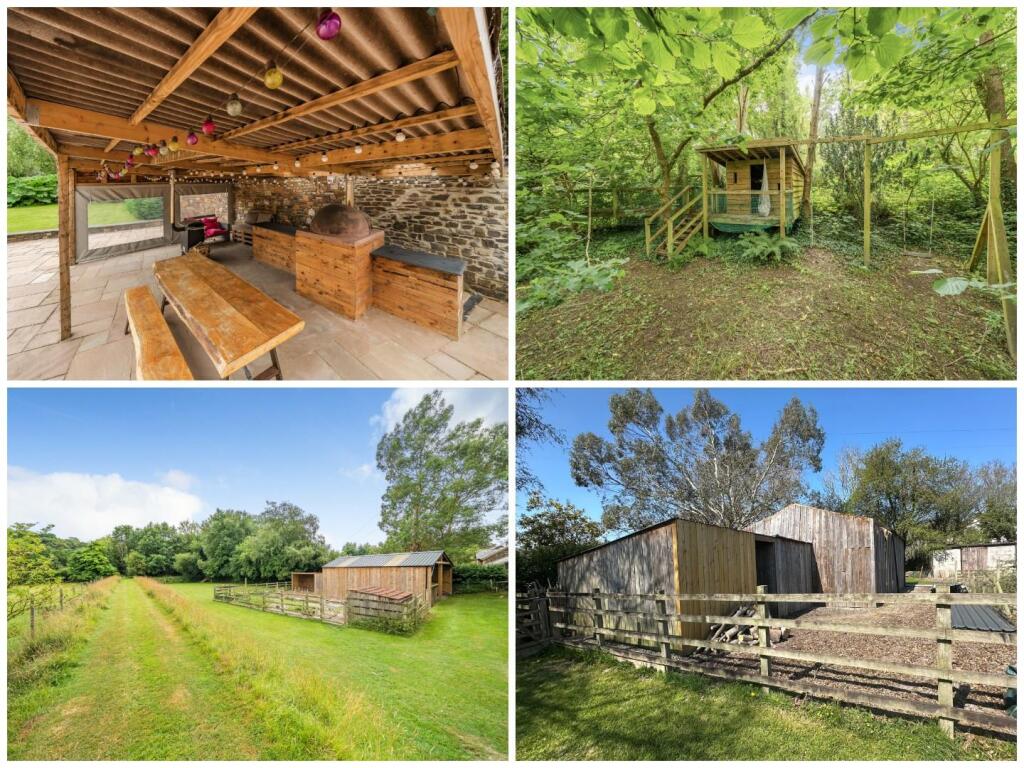 Back Page Collage.jpg