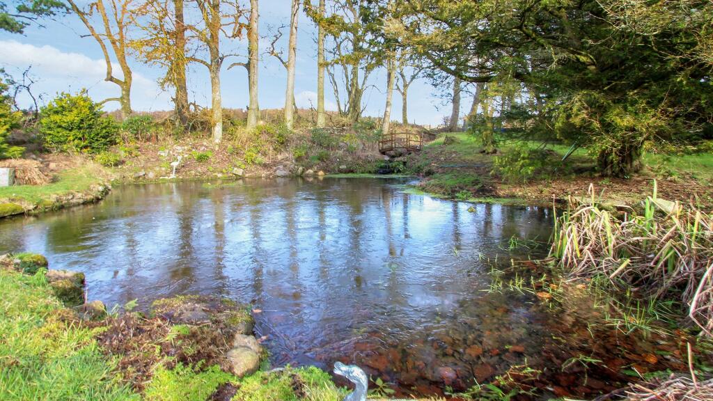 Duck Pond