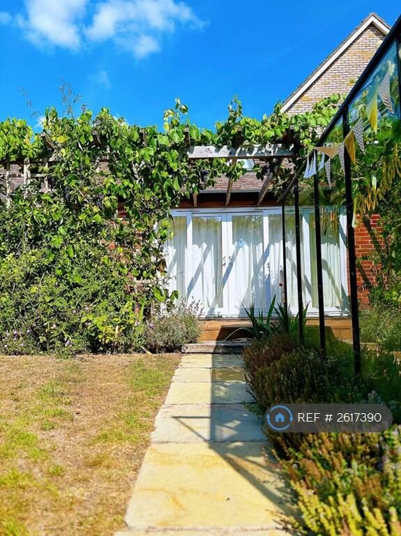 Lovely Path To The Studio