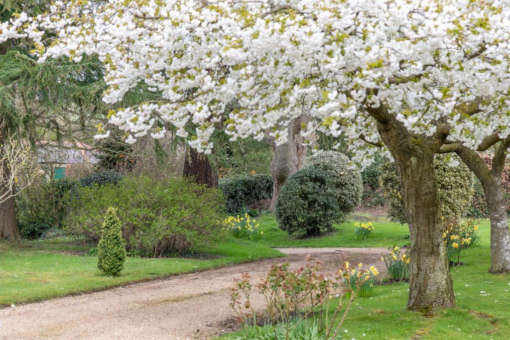the_old_vicarage-47.jpg