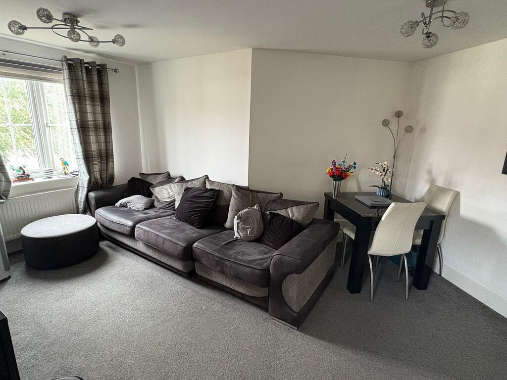 WhatsApp Image 20...