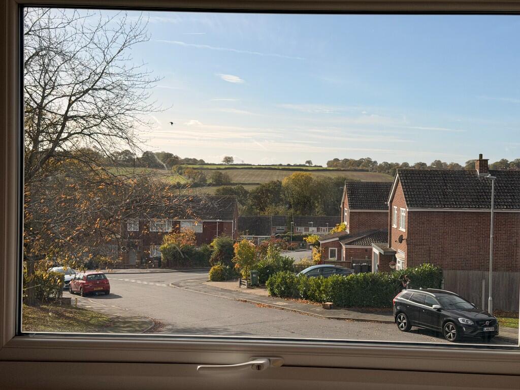 View from Bedroom
