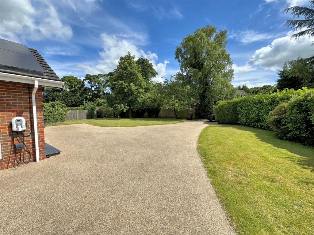 New Front Garden.jpg
