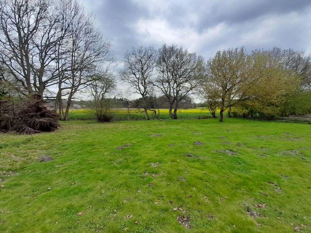 Back Garden