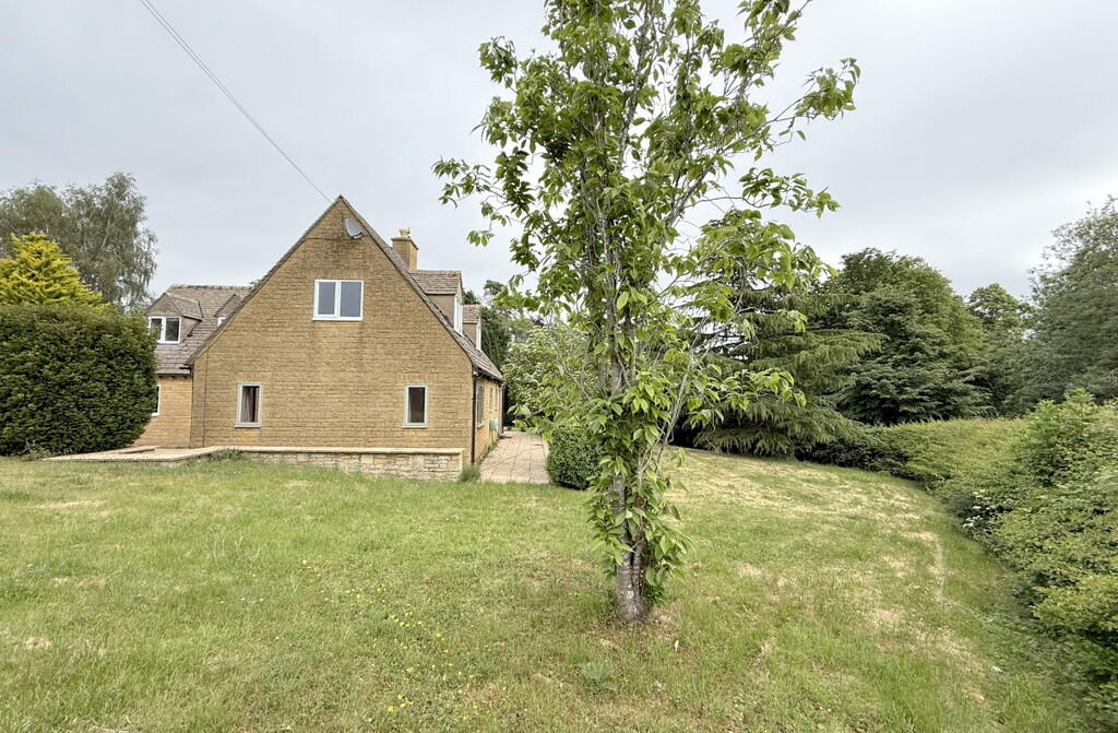 rear garden 2