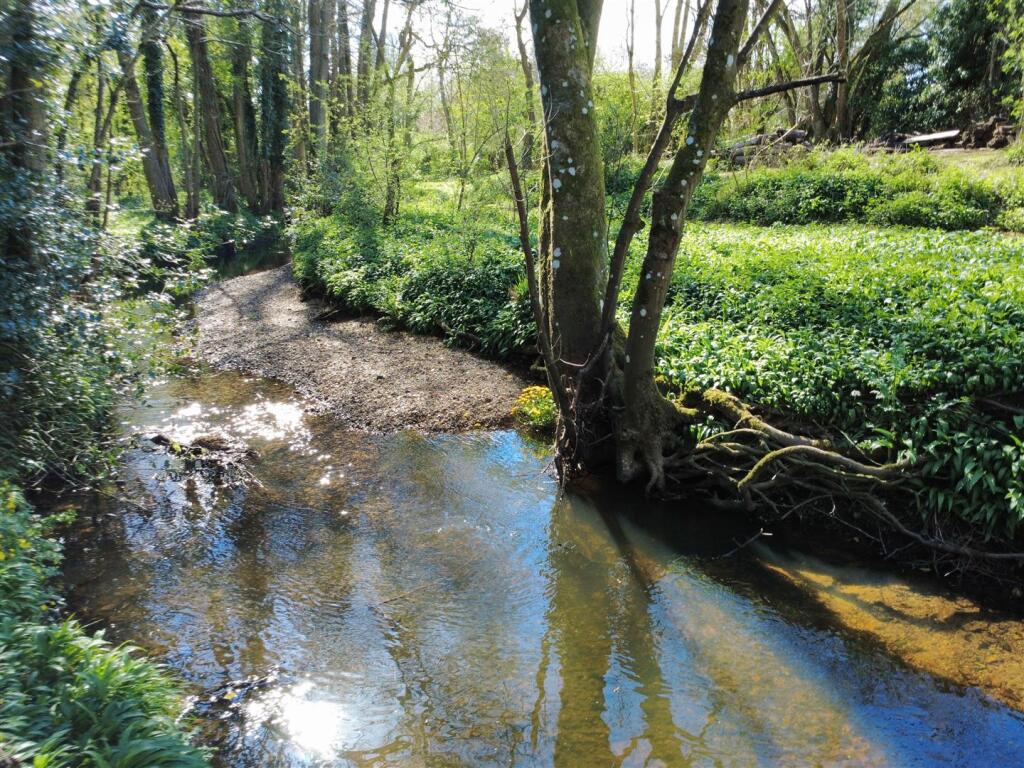 Woodland Stream 1.JPG