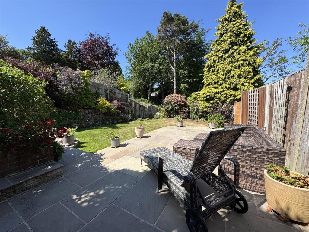 IMG_9495 (Large).JPG