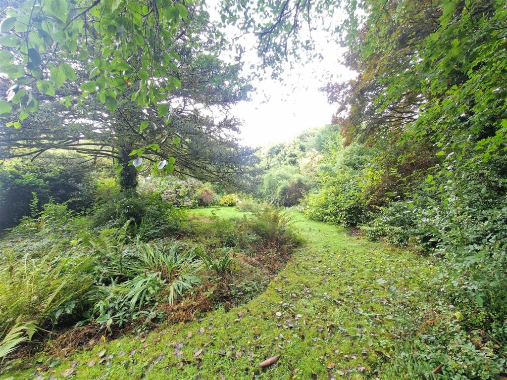 Garden.jpg