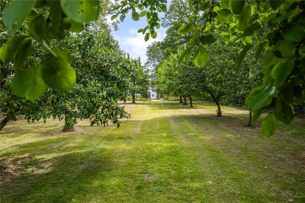 Orchard