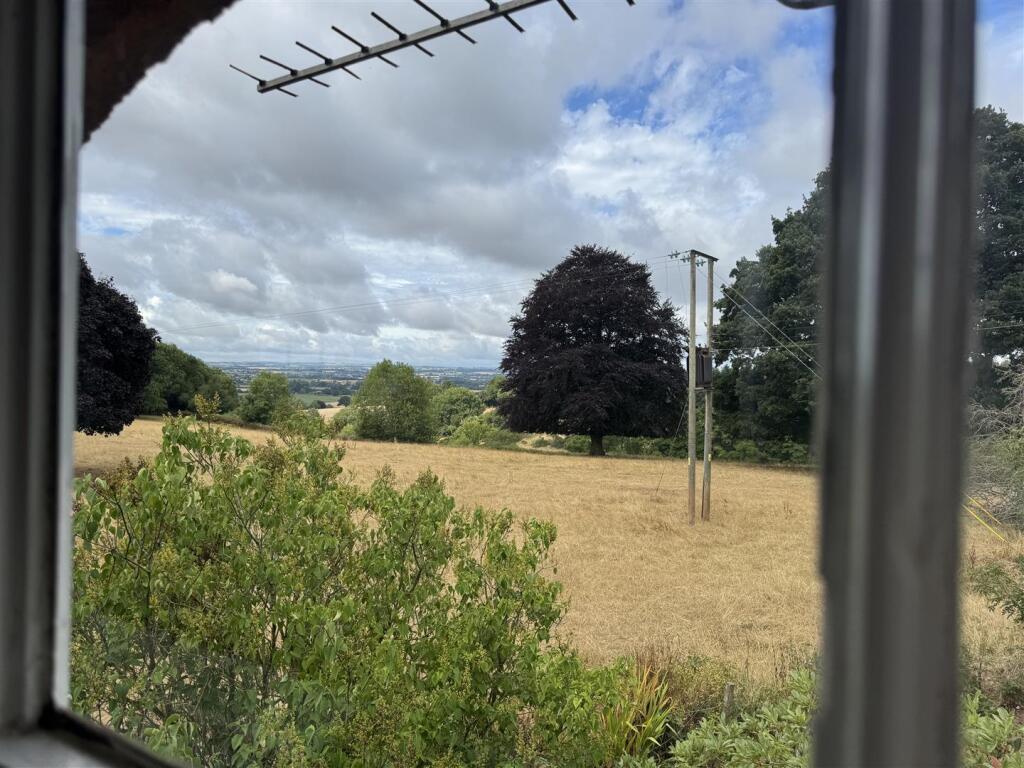 IMG_1947.jpeg