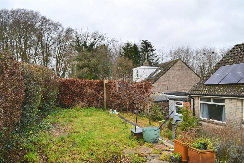 7 - 2024-12-18T165240.420.jpg