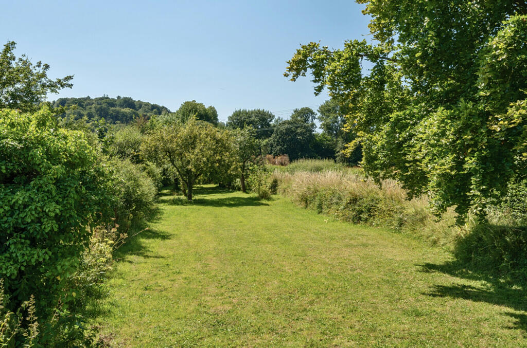 Orchard