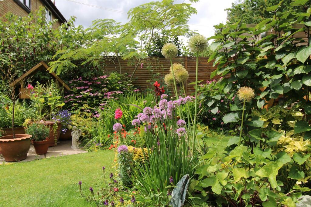 Garden / Patio