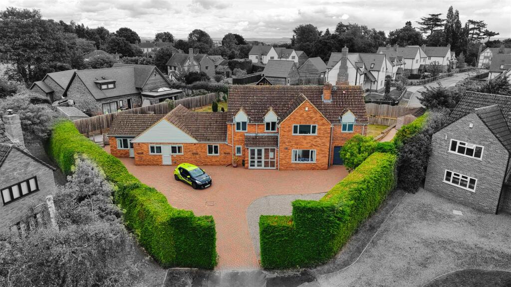 Little Green-1BW.jpg