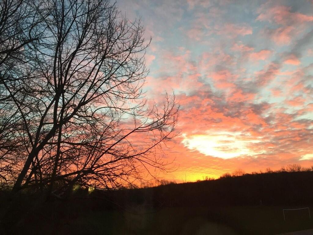 Views