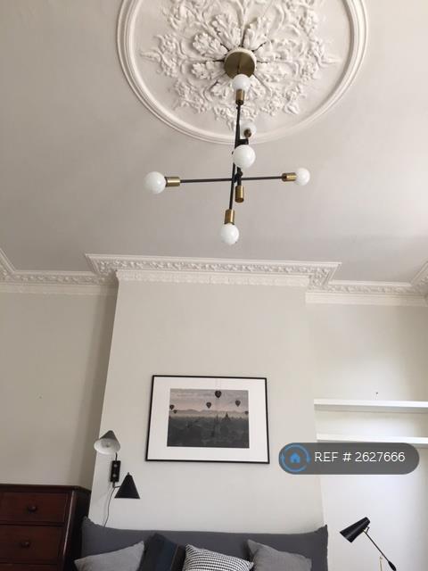 Ceiling Rose, Designer Lighting.