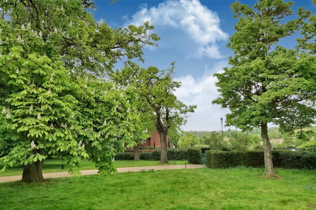 Estate 4.JPG