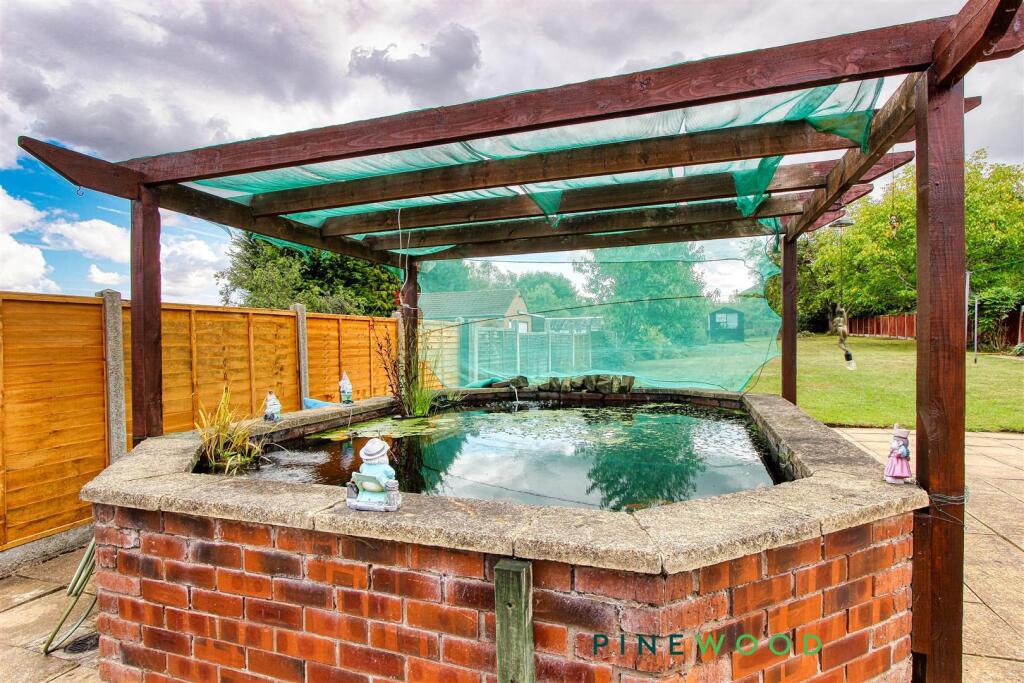 rear garden  -pond