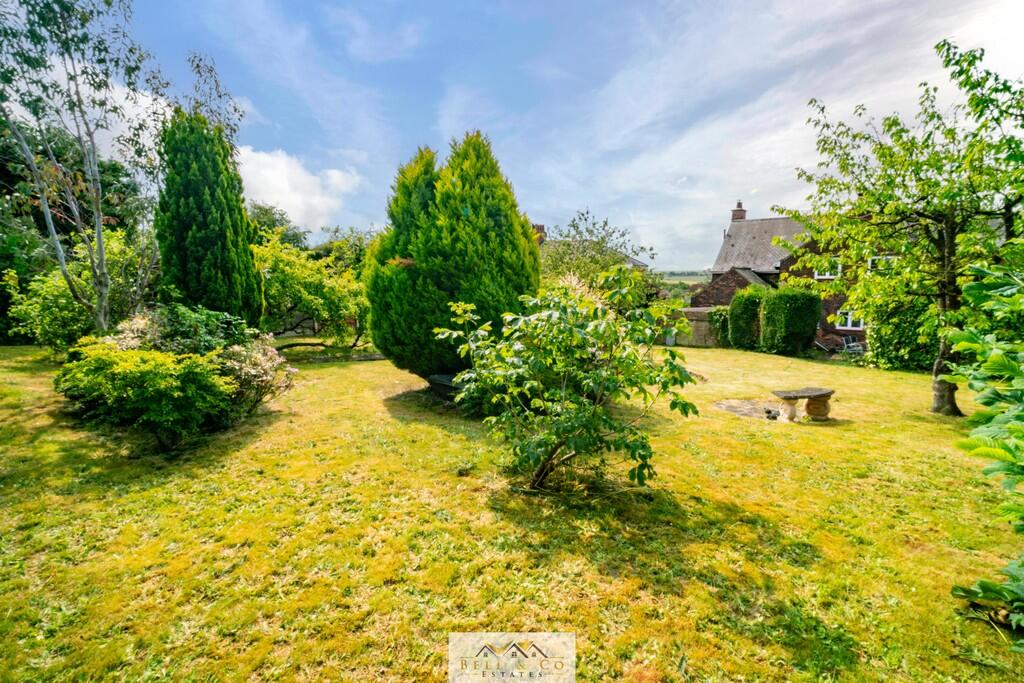 Rear Garden 5
