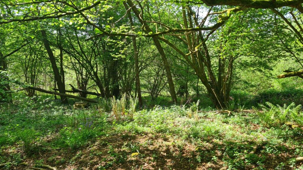 WhatsApp Image 2025-06-13 at 20.31.22 (4).jpeg