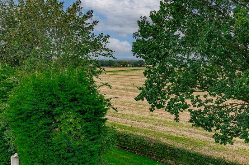Field Views