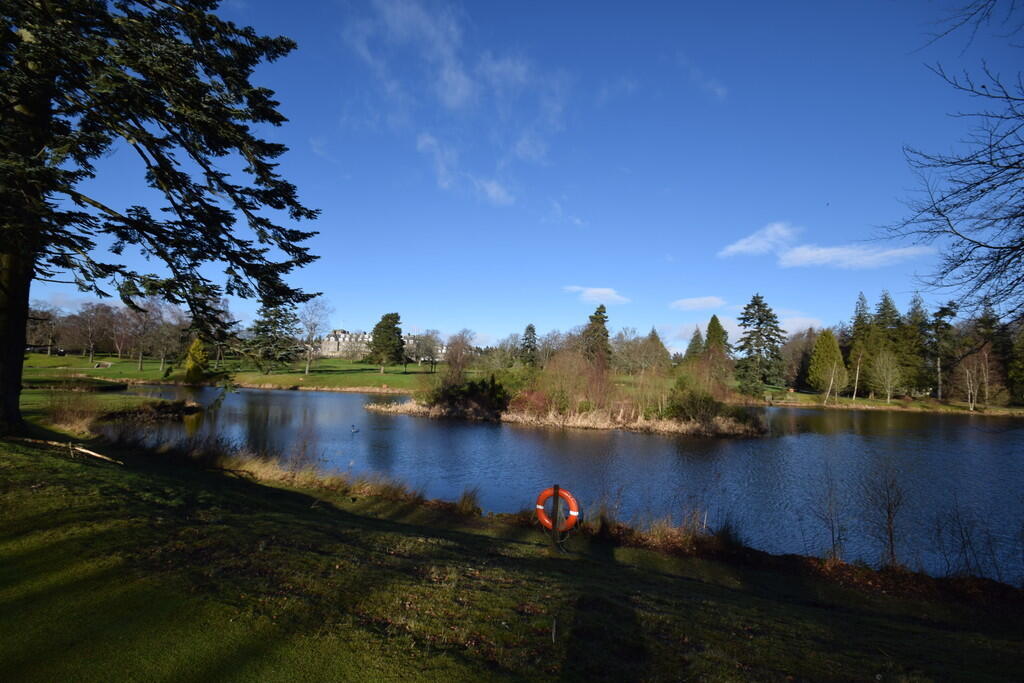 IMG_15060_20_larg...