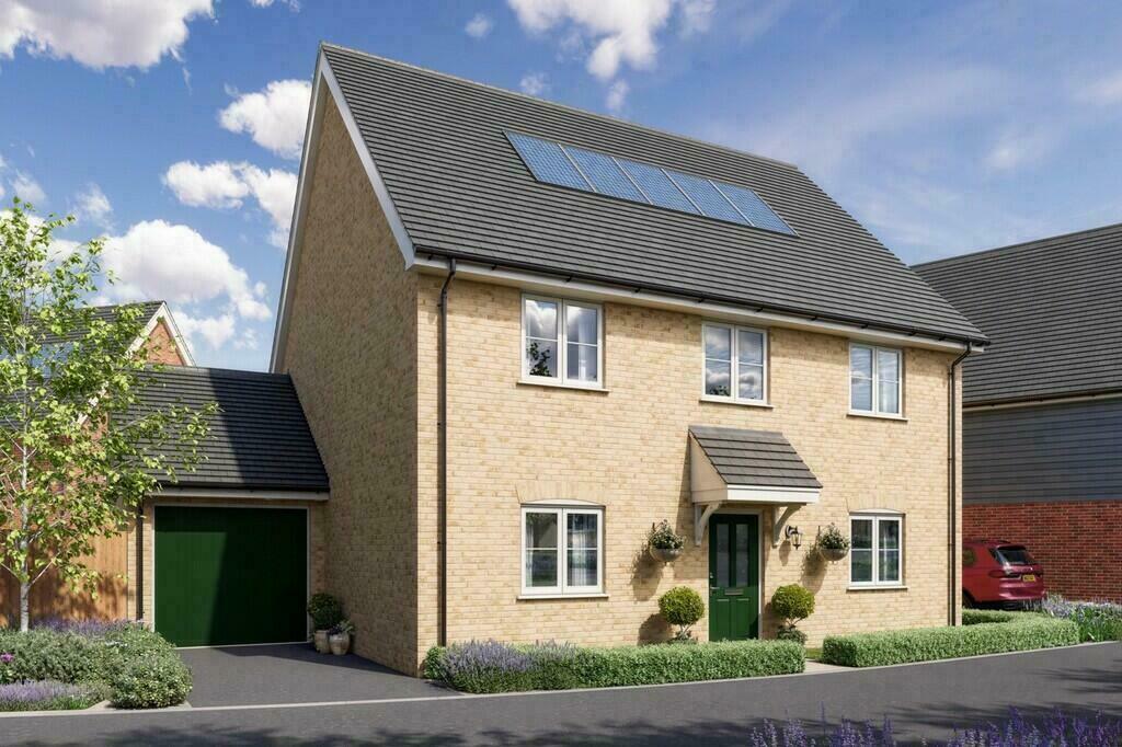 Sycamore CGI