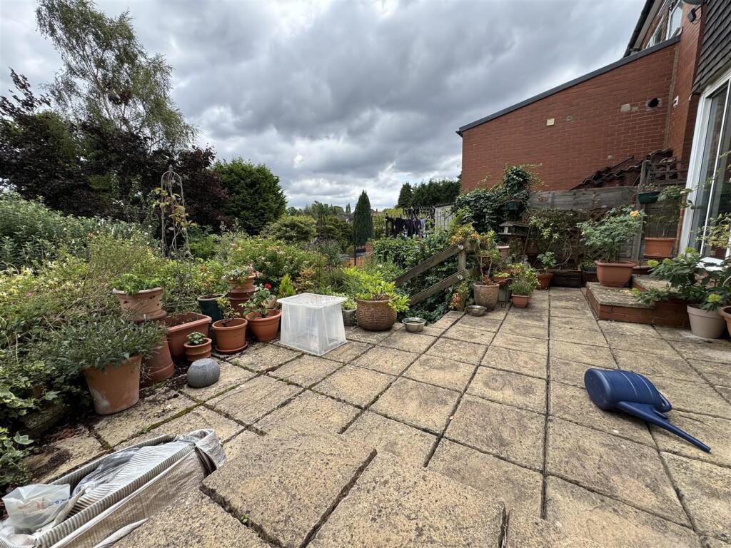 IMG_9600 (Large).JPG