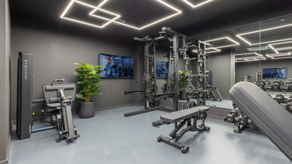 The gym