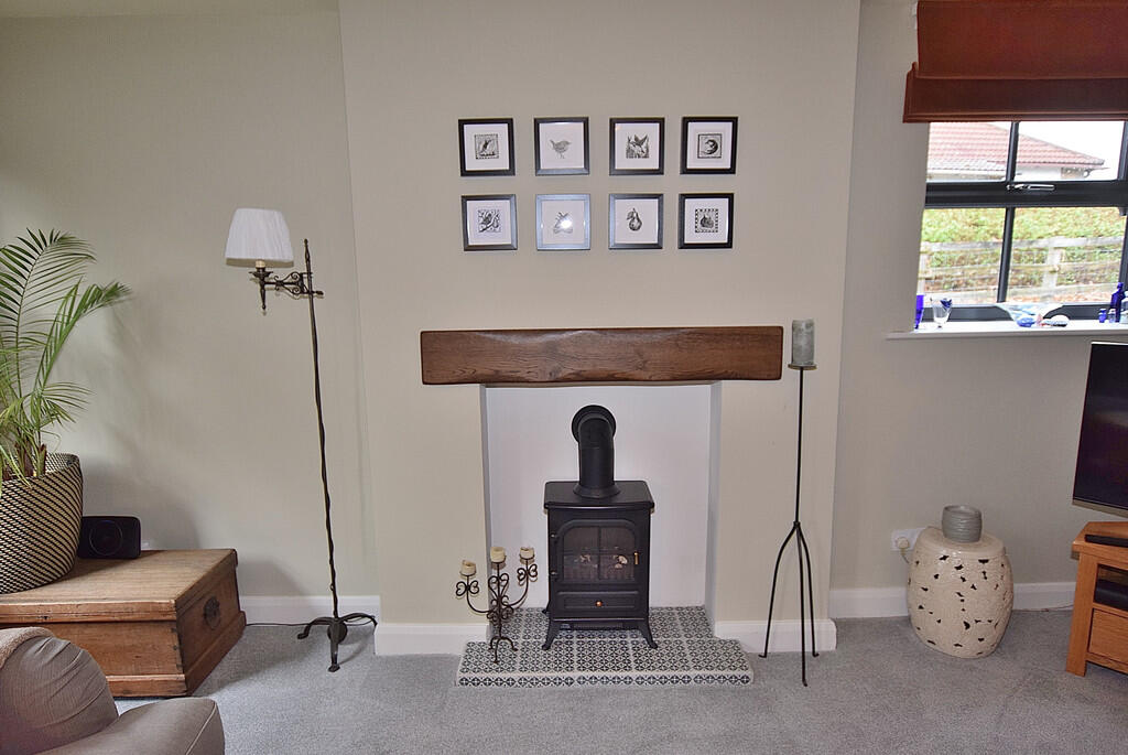 living room firep...