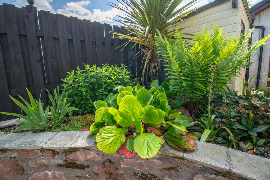 Planters